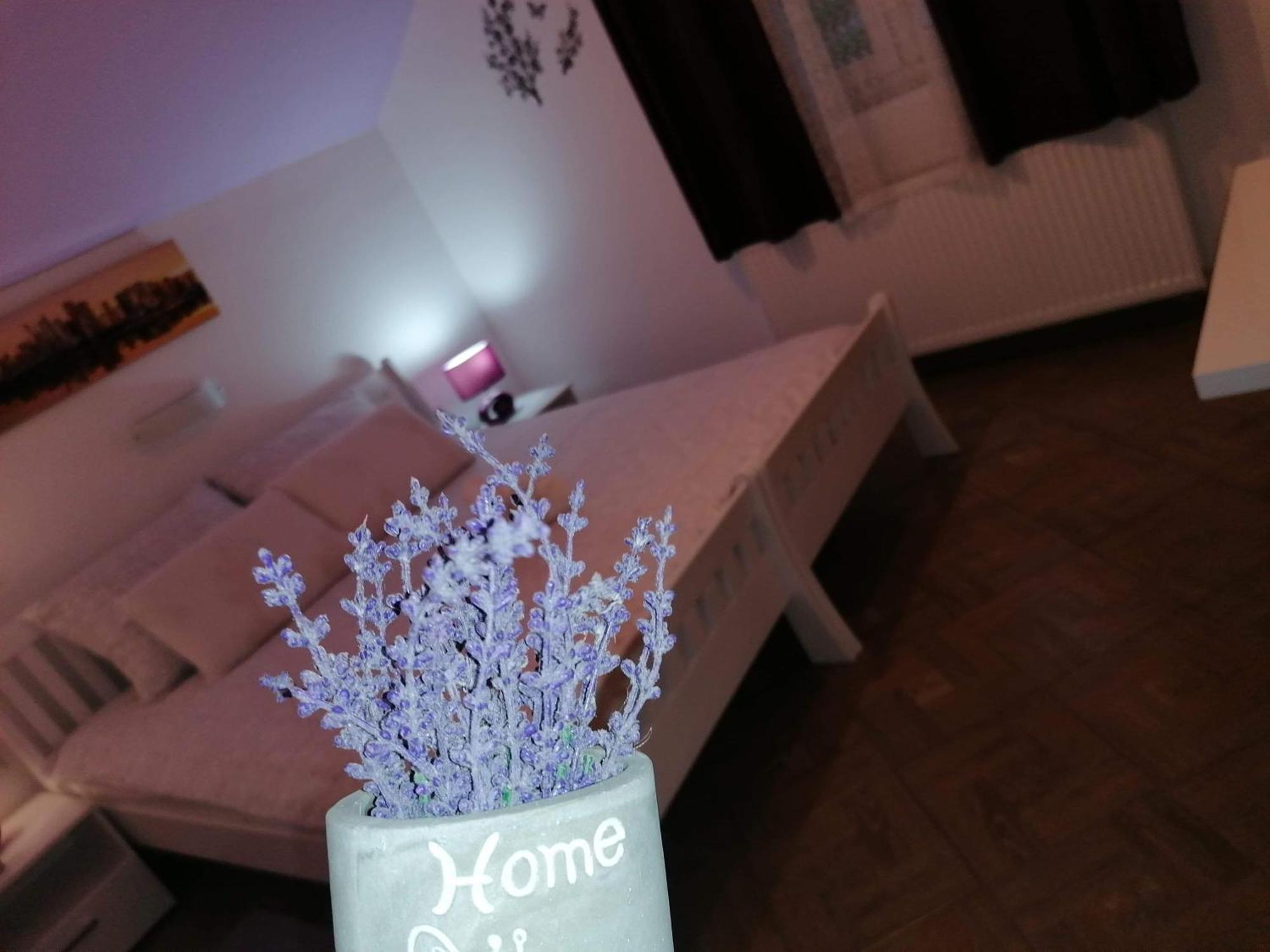 Guest House Macic Korenica Pokój zdjęcie