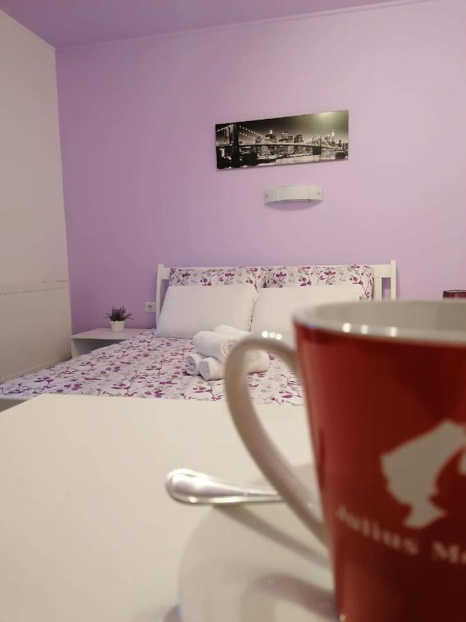 Guest House Macic Korenica Zewnętrze zdjęcie