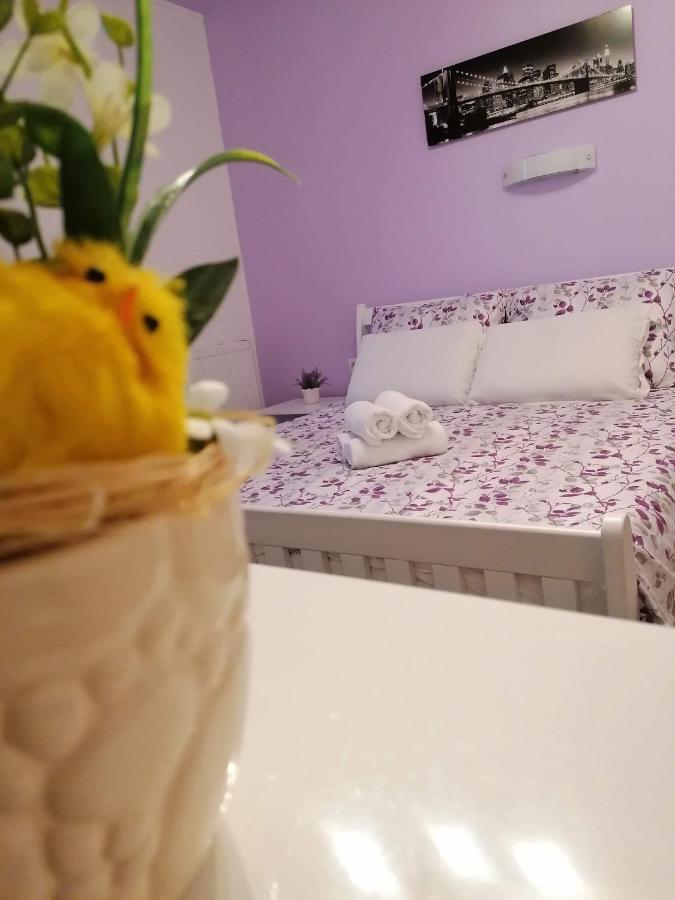 Guest House Macic Korenica Zewnętrze zdjęcie